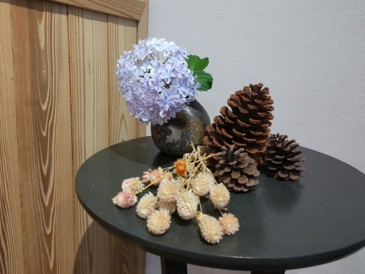 紫陽花