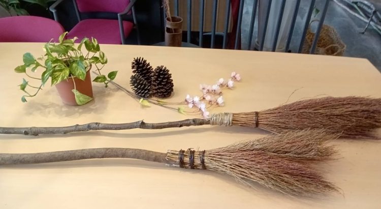 ほうき草でほうき